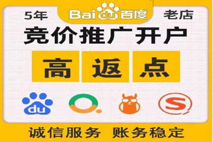 SEM网络推广案例：打造行业影响力品牌